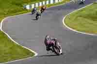 cadwell-no-limits-trackday;cadwell-park;cadwell-park-photographs;cadwell-trackday-photographs;enduro-digital-images;event-digital-images;eventdigitalimages;no-limits-trackdays;peter-wileman-photography;racing-digital-images;trackday-digital-images;trackday-photos